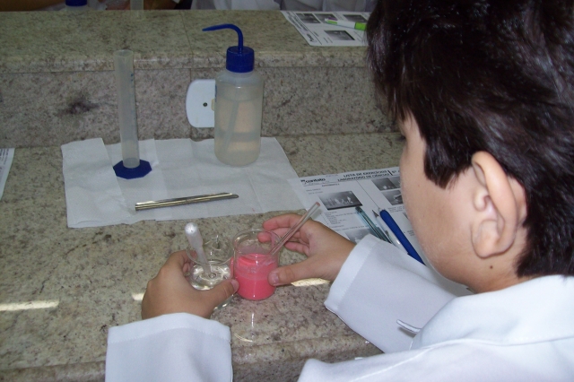 Alunos do Ensino Fundamental e Médio executam práticas no Laboratório de Química.
